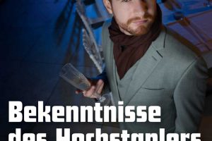 plakatmotiv_wlt_krull_web_timo_hummel_1